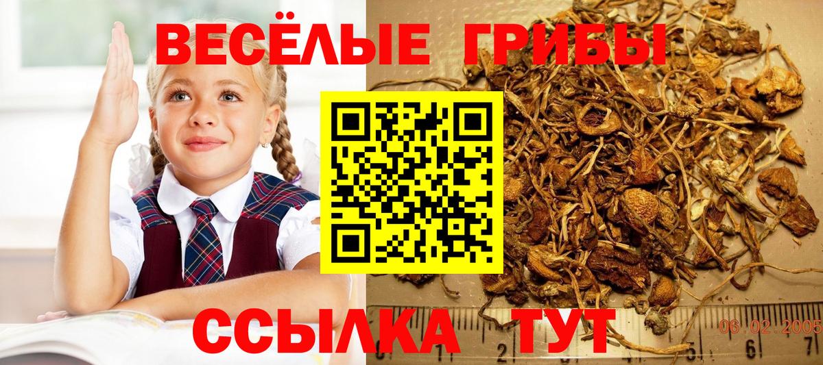 Галлюциногенные грибы Magic Shrooms Энгельс