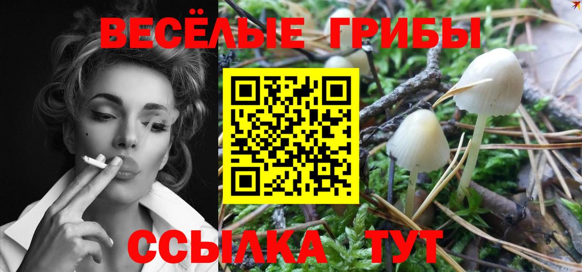 Псилоцибиновые грибы мицелий  наркота  Энгельс  Вход с VPN  Псилоцибиновые грибы MAGIC MUSHROOMS 